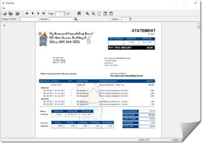 Custom Statement Preview Screenshot