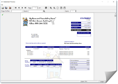 Custom Statement Preview Screenshot
