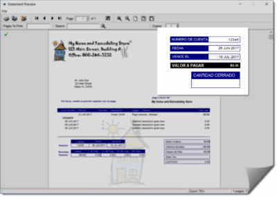 Custom Statement Preview Screenshot